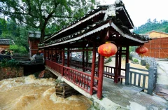 2023多彩贵州·第十六届中国原生态国际摄影大展 · 独立寒秋 的图集