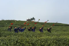多彩贵州·第十四届中国原生态国际摄影大展 · 朱碧匀 的图集