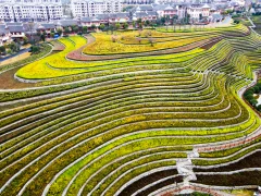 第十五届多彩贵州·中国原生态国际摄影大展·”空中瞰贵州”主题征稿 · 牧渔 的图集