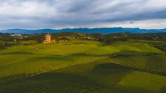多彩贵州·第十四届中国原生态国际摄影大展 · 方映nic 的图集