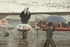 《雪野》