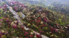 多彩贵州·第十四届中国原生态国际摄影大展 · bocwq0604 的图集