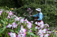多彩贵州·第十四届中国原生态国际摄影大展 · 普照山 的图集