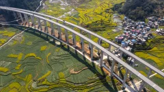 2023多彩贵州·第十六届中国原生态国际摄影大展 · 南极甲 的图集