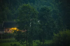 多彩贵州·中国原生态国际摄影大展 · 照相的胡子哥 的图集
