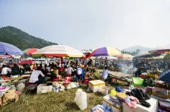 多彩贵州·第十四届中国原生态国际摄影大展 · 帕米尔 的图集