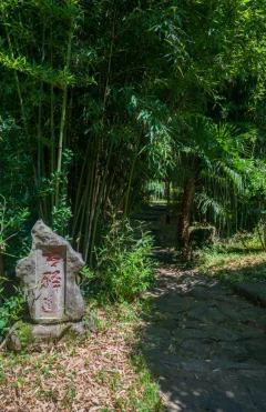 2025多彩贵州·第十八届中国原生态国际摄影大展展览 · 摄影大展官方客服 的图集