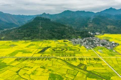 多彩贵州·第十四届中国原生态国际摄影大展 · lcl 的图集