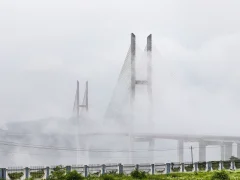 2023多彩贵州·第十六届中国原生态国际摄影大展 · 叶子烟 的图集