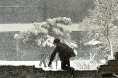 《雪野》
