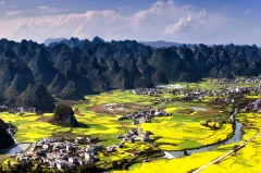 多彩贵州·第十四届中国原生态国际摄影大展 · 这方玩石 的图集