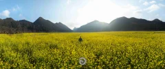 2024多彩贵州·第十七届中国原生态国际摄影大展展览 · 摄影大展官方客服 的图集