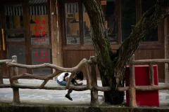 2025多彩贵州·第十八届中国原生态国际摄影大展 · 念念 的图集