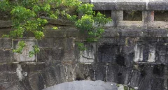 2023多彩贵州·第十六届中国原生态国际摄影大展 · 磨桂宾 的图集