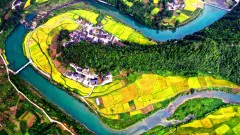 多彩贵州·第十四届中国原生态国际摄影大展 · 罗逸 的图集