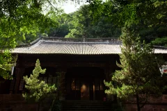 2025多彩贵州·第十八届中国原生态国际摄影大展 · 朱进 的图集