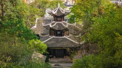 2025多彩贵州·第十八届中国原生态国际摄影大展 · 曹杨牧语 的图集