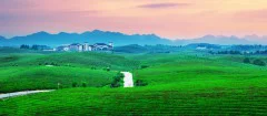 多彩贵州·第十四届中国原生态国际摄影大展 · 光影之旅 的图集