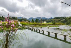 多彩贵州·第十四届中国原生态国际摄影大展 · 红色亚洲 的图集