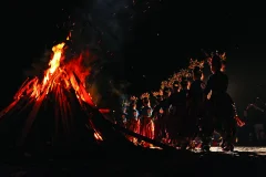 《 欢乐之夜》