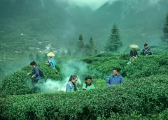 多彩贵州·第十四届中国原生态国际摄影大展 · 朱碧匀 的图集