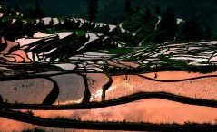 多彩贵州·第十四届中国原生态国际摄影大展 · 贾利 的图集