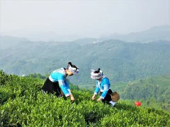多彩贵州·第十四届中国原生态国际摄影大展 · NG 的图集