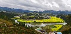多彩贵州·第十四届中国原生态国际摄影大展 · 红色亚洲 的图集