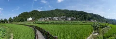 多彩贵州·第十四届中国原生态国际摄影大展 · 小桥流水 的图集