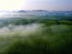多彩贵州·第十四届中国原生态国际摄影大展 · 周访华 的图集