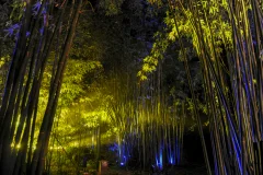 多彩贵州·第十四届中国原生态国际摄影大展 · 洪开第 的图集
