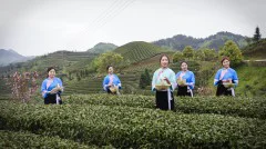 多彩贵州·第十四届中国原生态国际摄影大展 · 安顺时光 的图集
