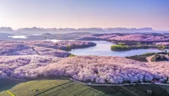 多彩贵州·第十四届中国原生态国际摄影大展 · 冷雨飘扬 的图集
