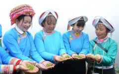 多彩贵州·第十四届中国原生态国际摄影大展 · 诗和远方（肖雄） 的图集