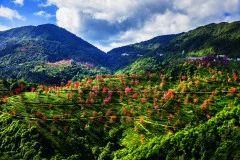 多彩贵州·第十四届中国原生态国际摄影大展 · 小寒大雪 的图集