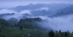 多彩贵州·第十四届中国原生态国际摄影大展 · 原味 的图集