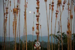 2024多彩贵州·第十七届中国原生态国际摄影大展展览 · 摄影大展官方客服 的图集