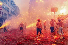 ​2024多彩贵州·第十七届中国原生态国际摄影大展 · 一鹤 的图集