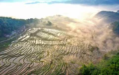 多彩贵州·第十四届中国原生态国际摄影大展 · 普照山 的图集