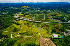 多彩贵州·第十四届中国原生态国际摄影大展 · 健摄者 的图集