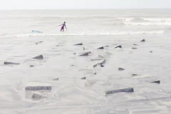 《海岸之歌》