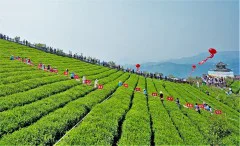 多彩贵州·第十四届中国原生态国际摄影大展 · NG 的图集