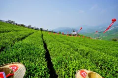 多彩贵州·第十四届中国原生态国际摄影大展 · NG 的图集
