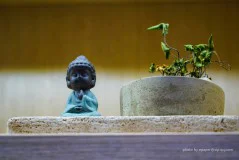 多彩贵州·第十四届中国原生态国际摄影大展 · 一米天涯 的图集