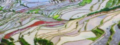 多彩贵州·第十四届中国原生态国际摄影大展 · bocwq0604 的图集