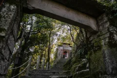 2025多彩贵州·第十八届中国原生态国际摄影大展展览 · 摄影大展官方客服 的图集