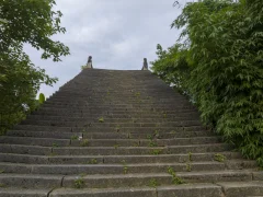 2023多彩贵州·第十六届中国原生态国际摄影大展 · 叶子烟 的图集