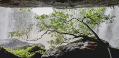 多彩贵州·第十四届中国原生态国际摄影大展 · 影老王 的图集