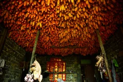 多彩贵州·第十四届中国原生态国际摄影大展 · 不堪回首 的图集