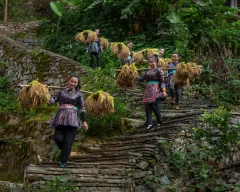 多彩贵州·第十四届中国原生态国际摄影大展 · 鲁彦勇 的图集
